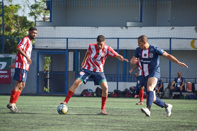 充分发挥 充分发挥