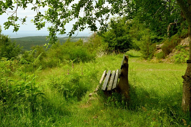 替补席磨砺 替补席磨砺