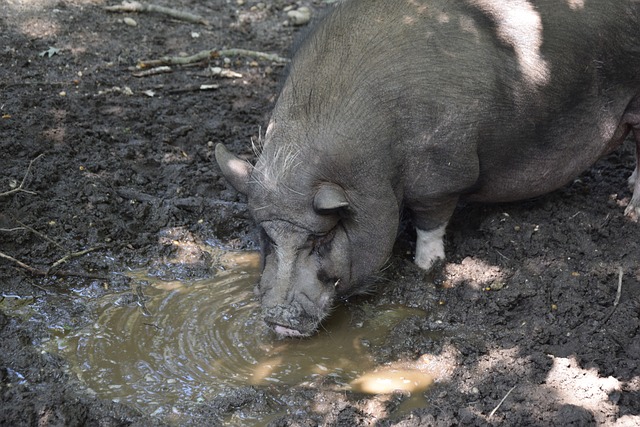全面而无畏 全面而无畏