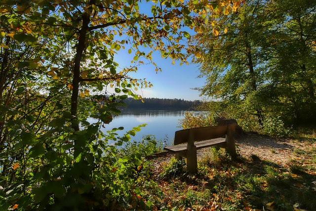 在这5人中 在这5人中