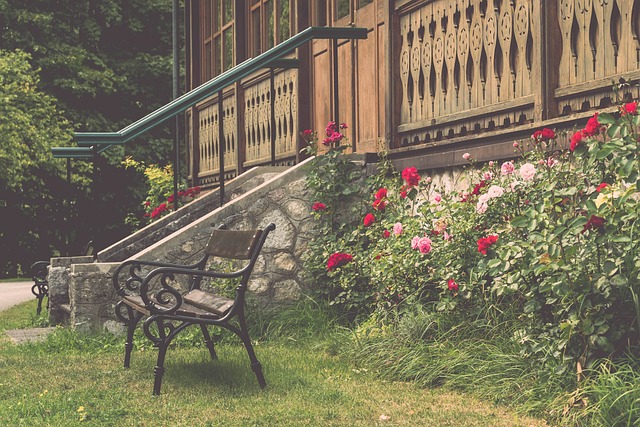 回在西部的 回在西部的