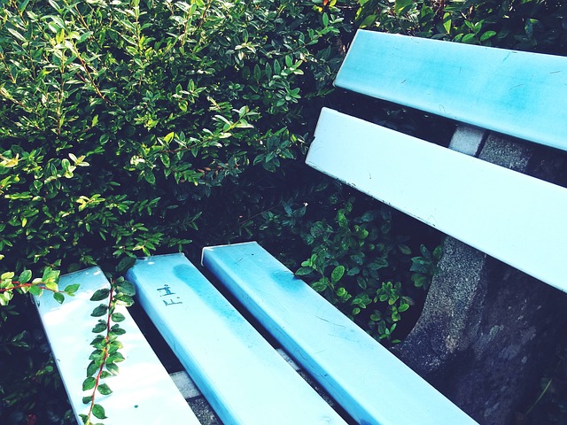 善的校园足 善的校园足